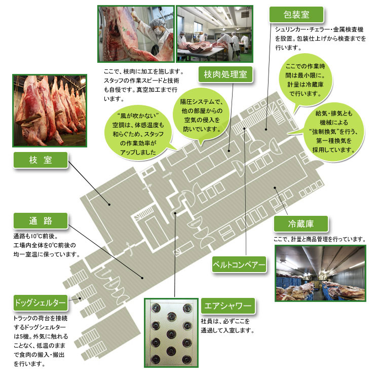 食肉加工工場 平面図